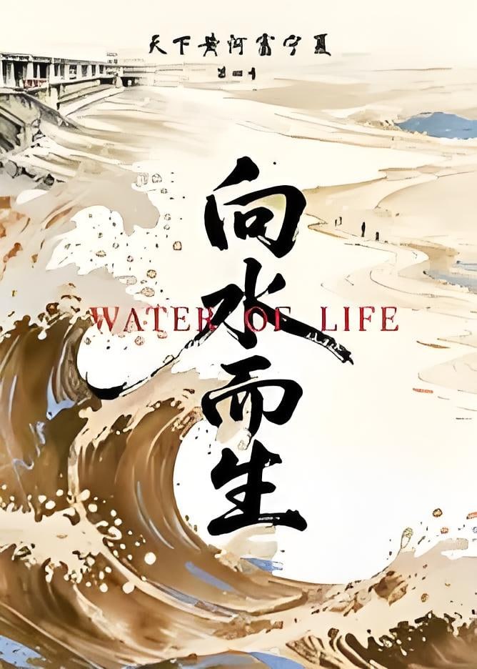 天下黄河富宁夏 第4季